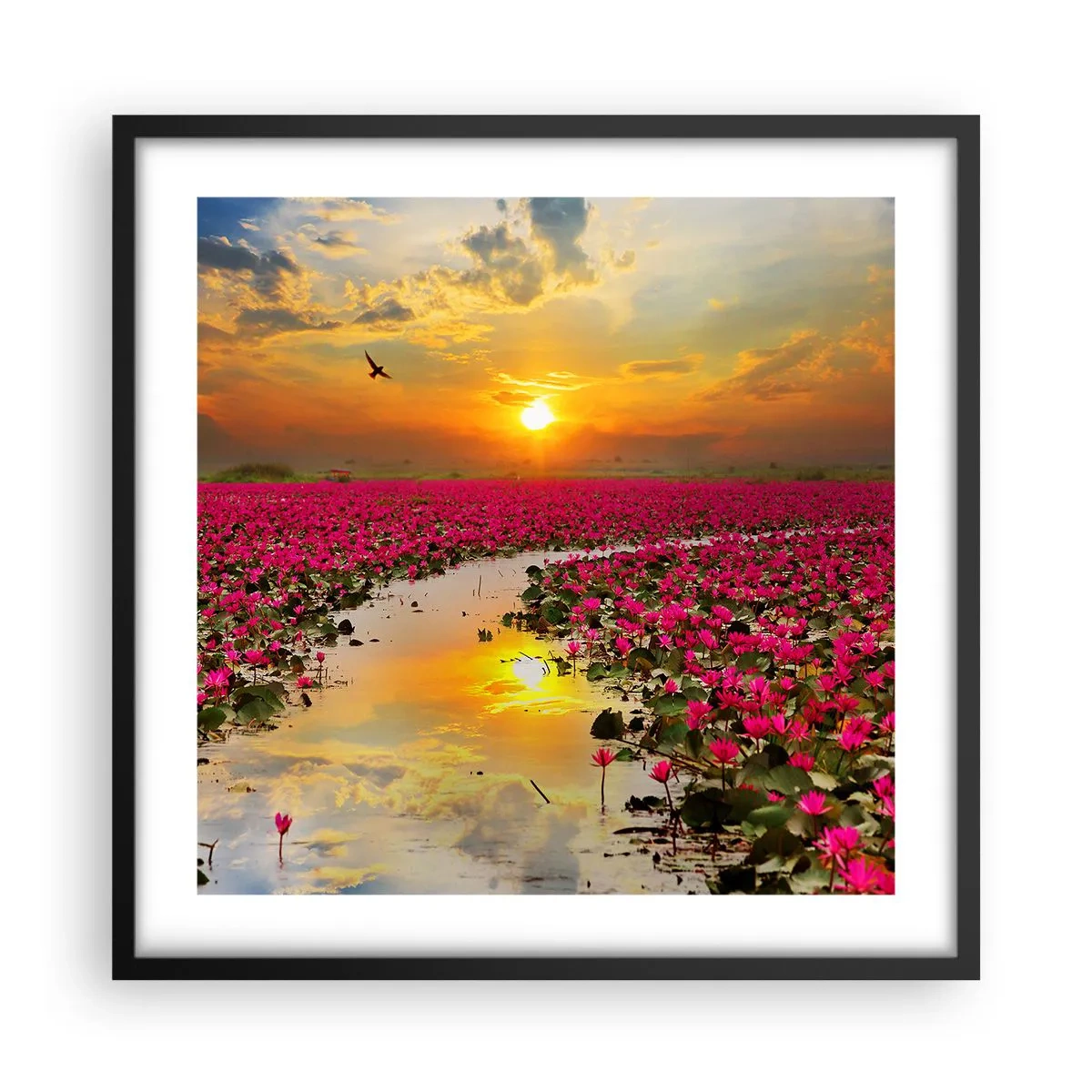 Plakát v černém rámu - Tajemný život jezera - 50x50 cm