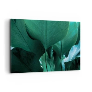 Obraz na plátně - Obrácené ke světlu - 120x80 cm