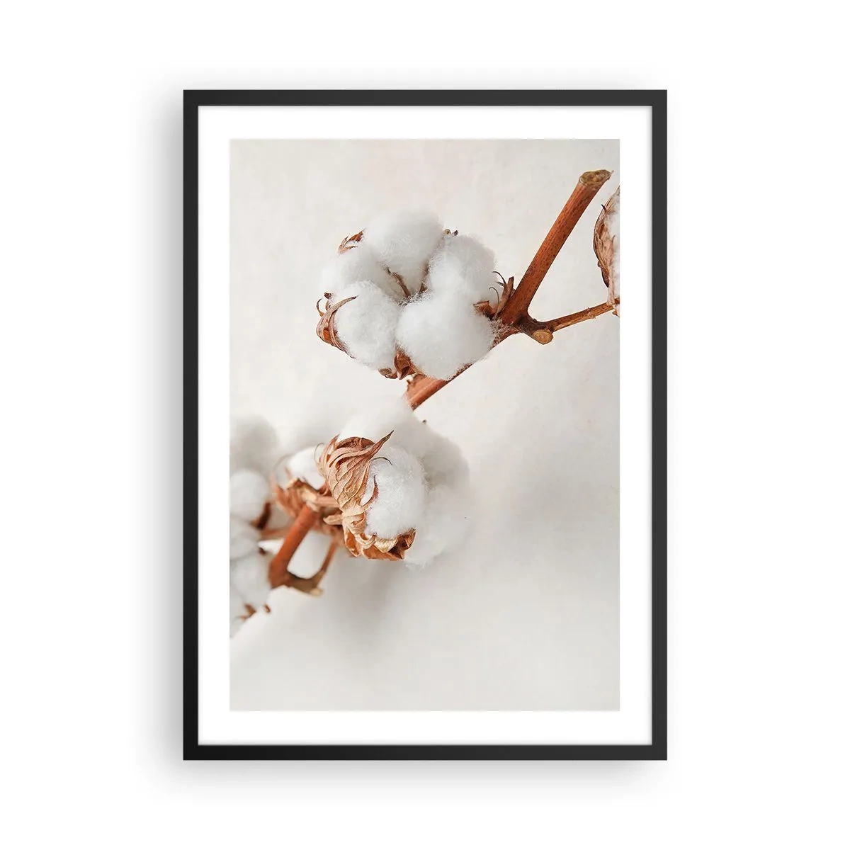 Plakát v černém rámu - Jemné bavlníkové větvičky na světlém pozadí - 50x70cm - Jenom objímat - Moderní nástěnná dekorace do obývacího pokoje a ložnice ARTTOR
