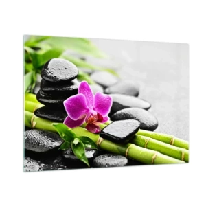 Obraz na skle - V klidné rovnováze - 100x70 cm