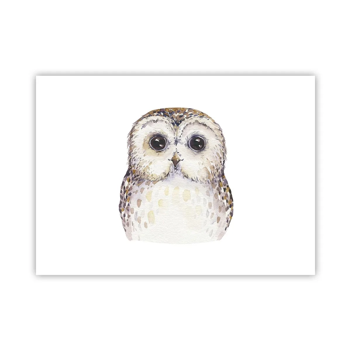 Plakát - Podívej se mi do očí - 70x50 cm