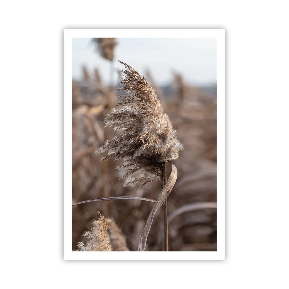 Plakát - Čas odletět s větrem - 70x100 cm