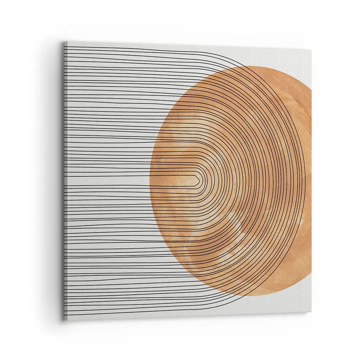 Obraz na plátně - Slunečná kompozice - 60x60 cm