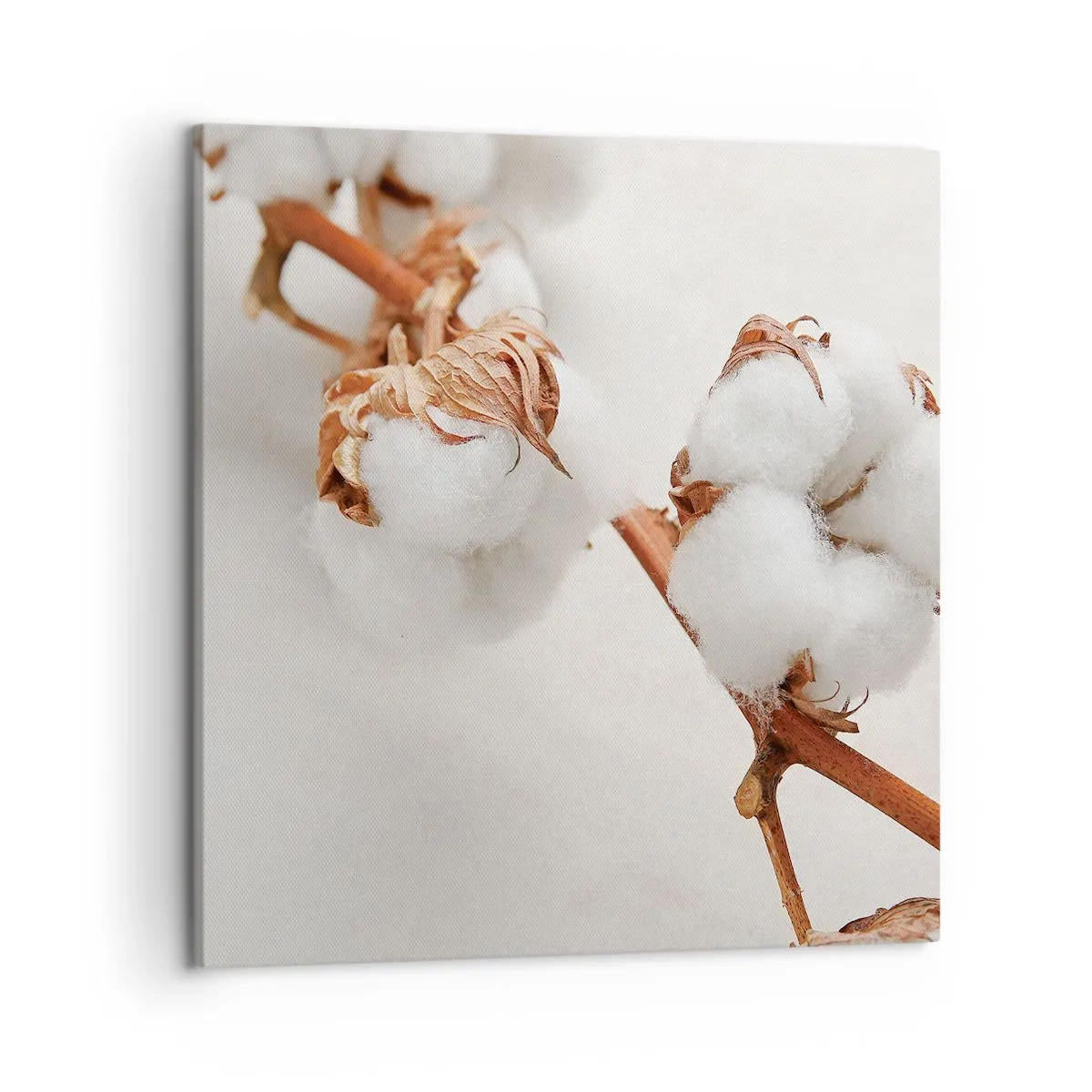 Obraz na plátně - Jenom objímat - 50x50 cm