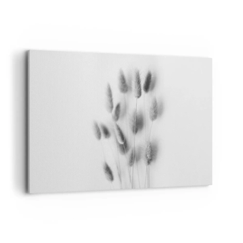 Obraz na plátně - Její načechranost tráva - 120x80 cm