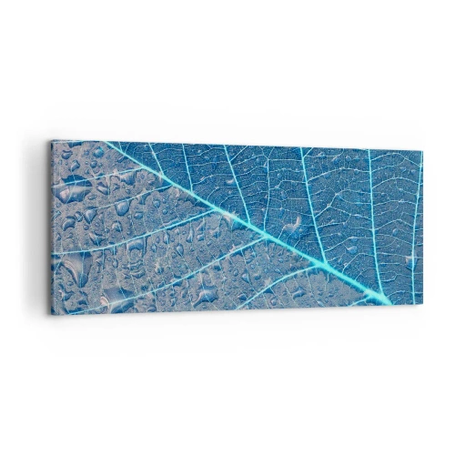 Obraz na plátně - Život v modři - 100x40 cm