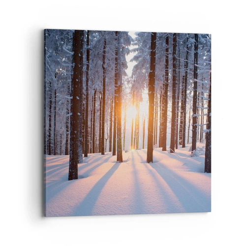 Obraz na plátně - Jasně černé na bílém - 70x70 cm