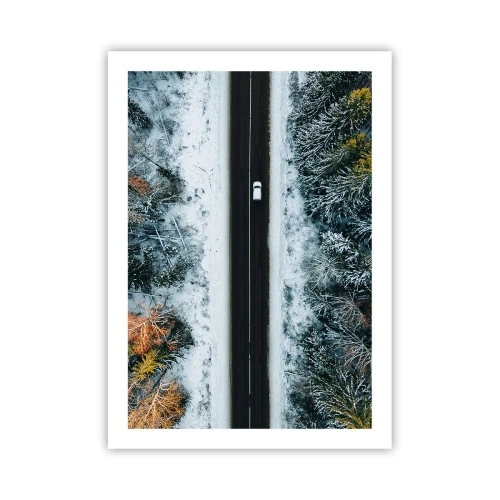 Plakát - Přes zimní les - 50x70 cm
