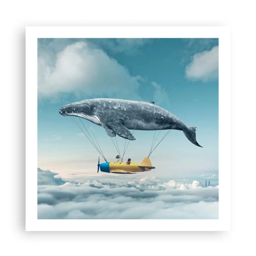 Plakát - Proč ne? - 60x60 cm