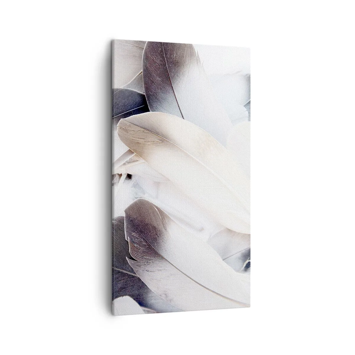 Obraz na plátně - Téměř andělské - 45x80 cm