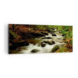 Obraz na plátně - Jako tekuté stříbro - 100x40 cm