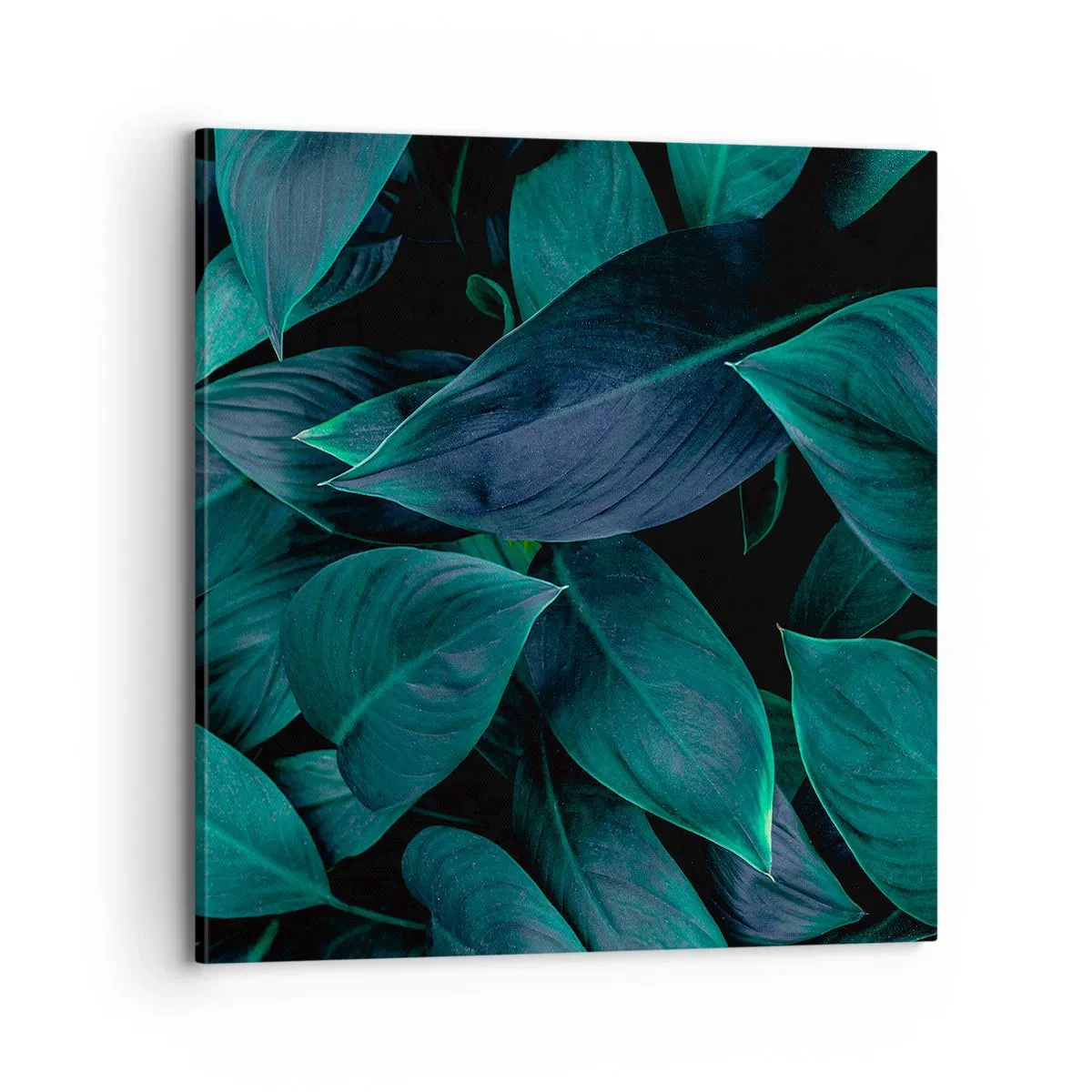 Obraz na plátně - Zeleň sama o sobě - 70x70 cm