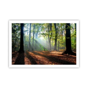 Plakát - Světla a stíny - 91x61 cm