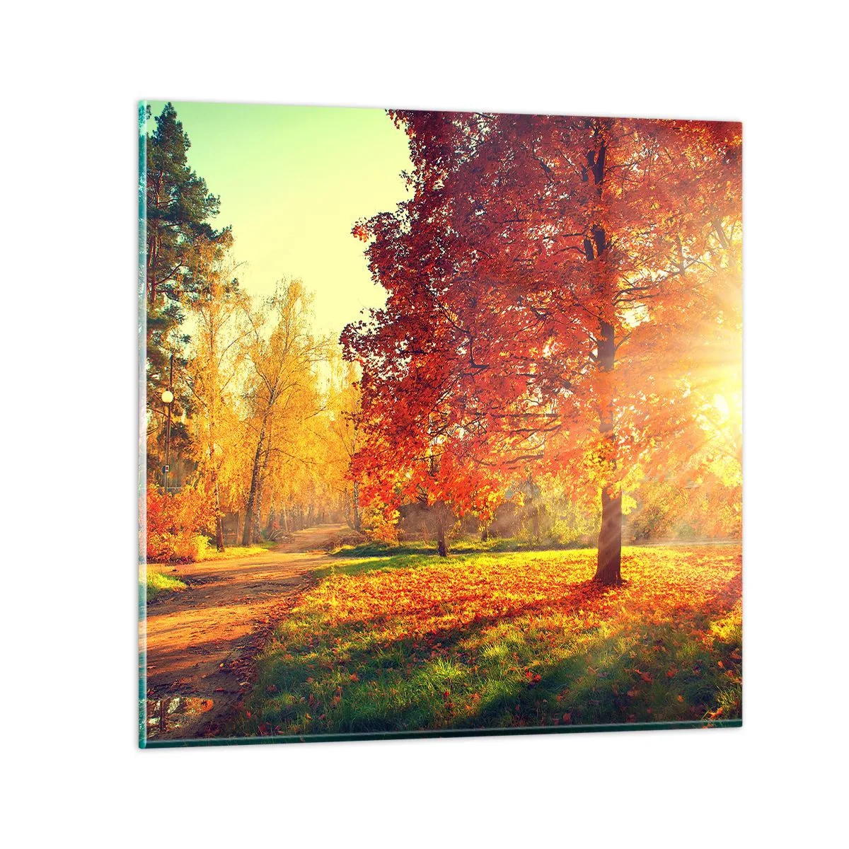 Obraz na skle - Rudé je krásné - 30x30 cm