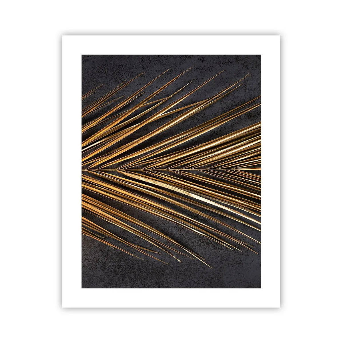 Plakát - Zlato tropů - 40x50 cm