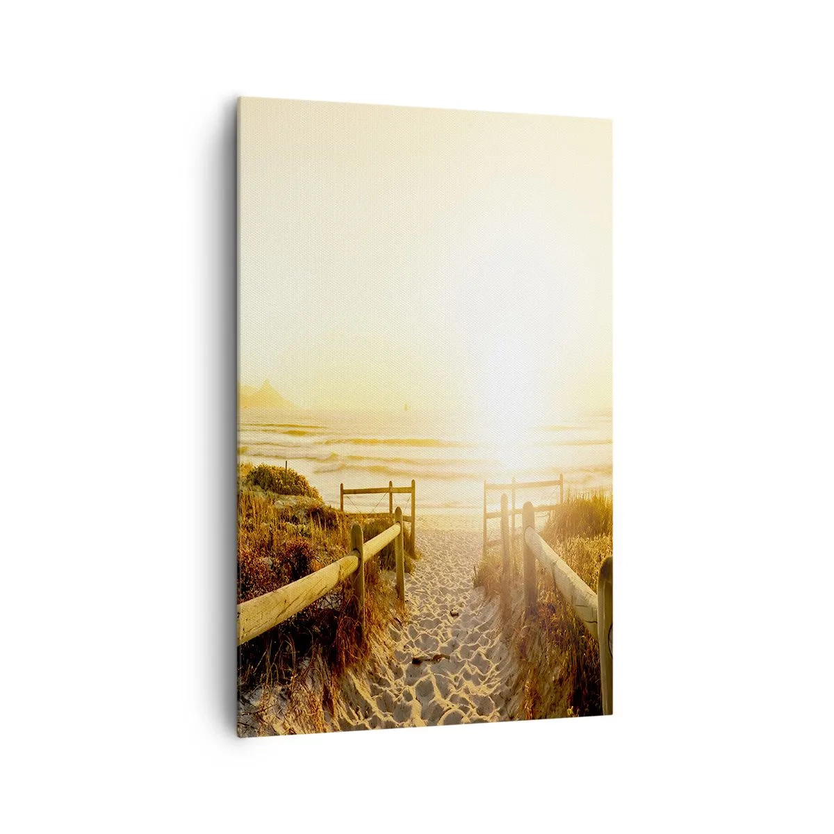 Obraz na plátně - Dunami směrem ke slunci - 80x120 cm