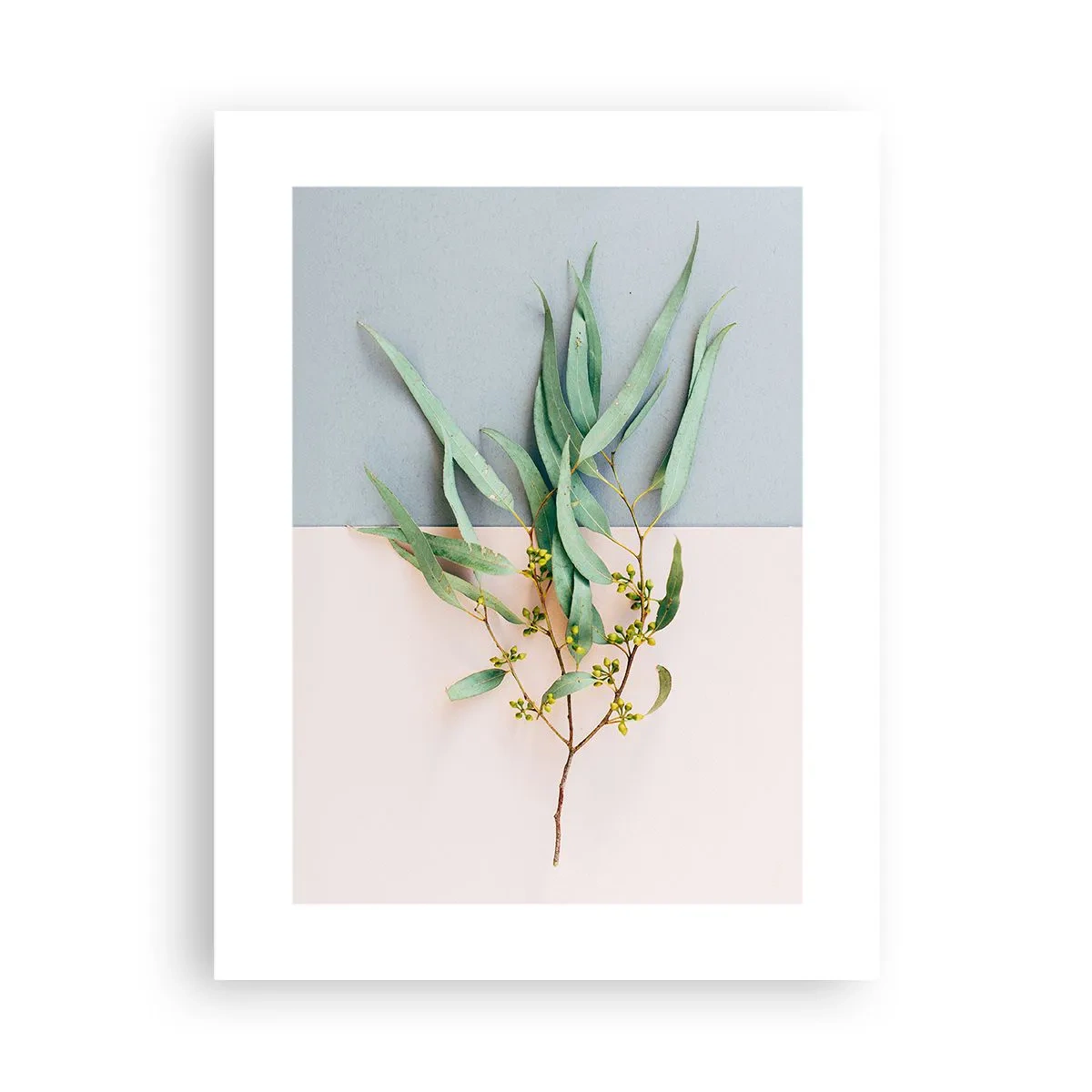 Plakát - Pastelová jemnost - 30x40 cm