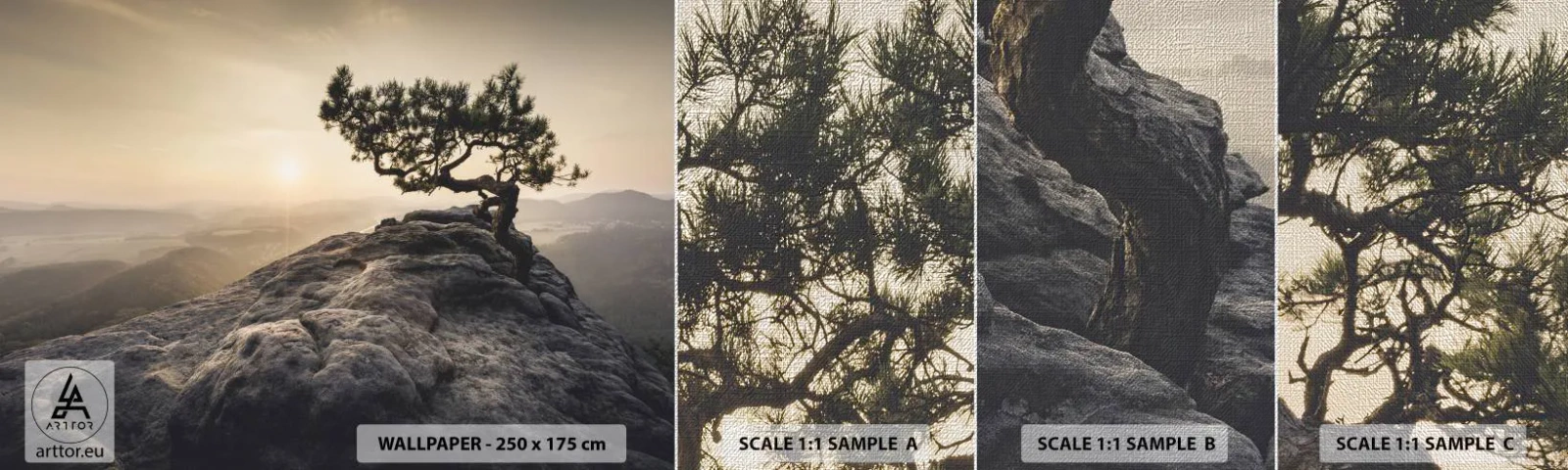 Vzor Fototapety Premium Canvas - Život vždy vítězí - Horská krajina, Borovice, hory - 100x30 cm