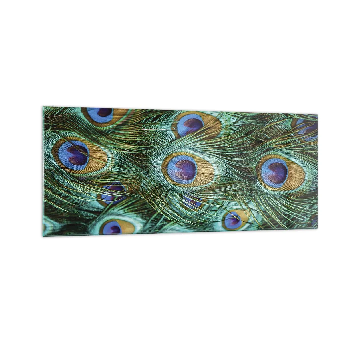 Obraz na skle - Paví pohled - 100x40 cm
