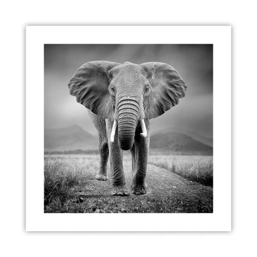 Plakát - Hostitel vítá - 40x40 cm