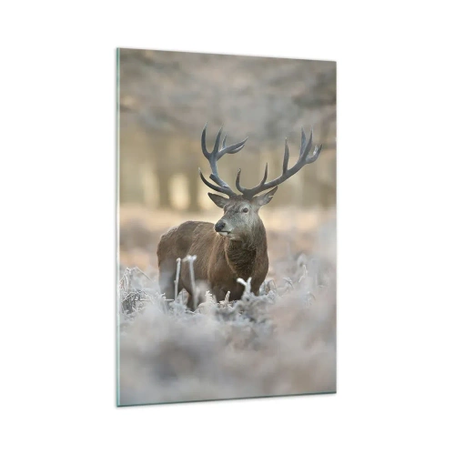 Obraz na skle - Svěží ráno - 80x120 cm