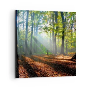 Obraz na plátně - Světla a stíny - 50x50 cm