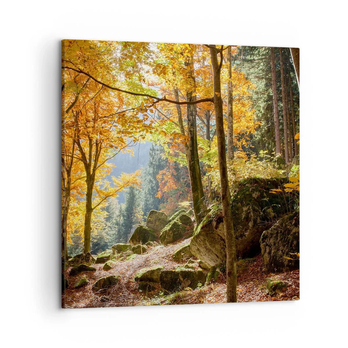 Obraz na plátně - Čas na odpočinek - 50x50 cm