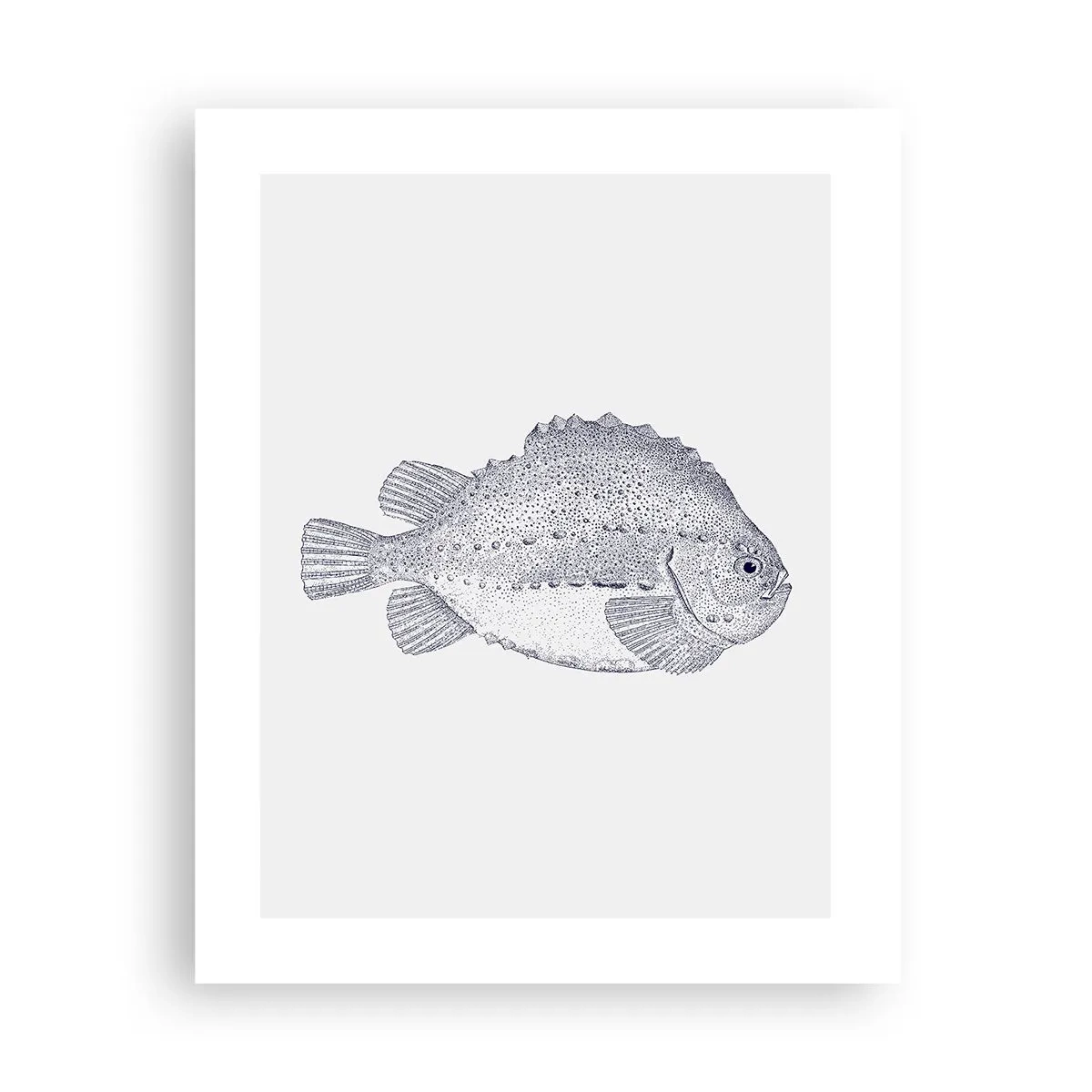 Plakát - Do alba přírodovědce - 40x50 cm