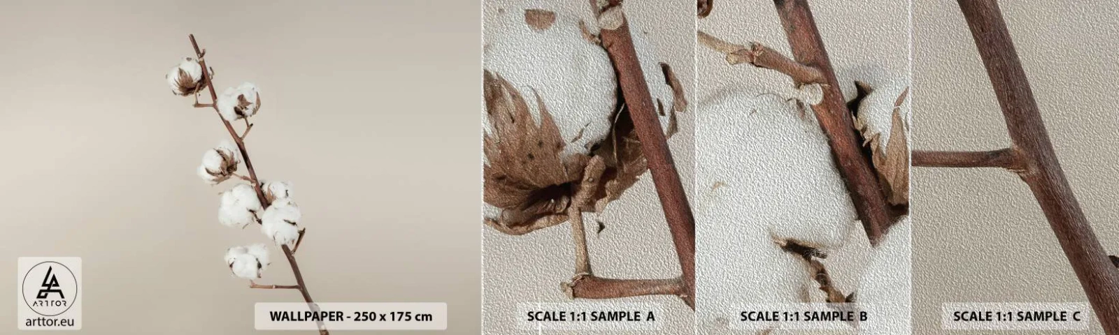 Vzor Fototapety Premium Sand - U zdroje měkkosti - Bavlněný květ, Příroda, Bavlna - 100x30 cm