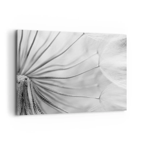 Obraz na plátně - Pampelišky - 100x70 cm