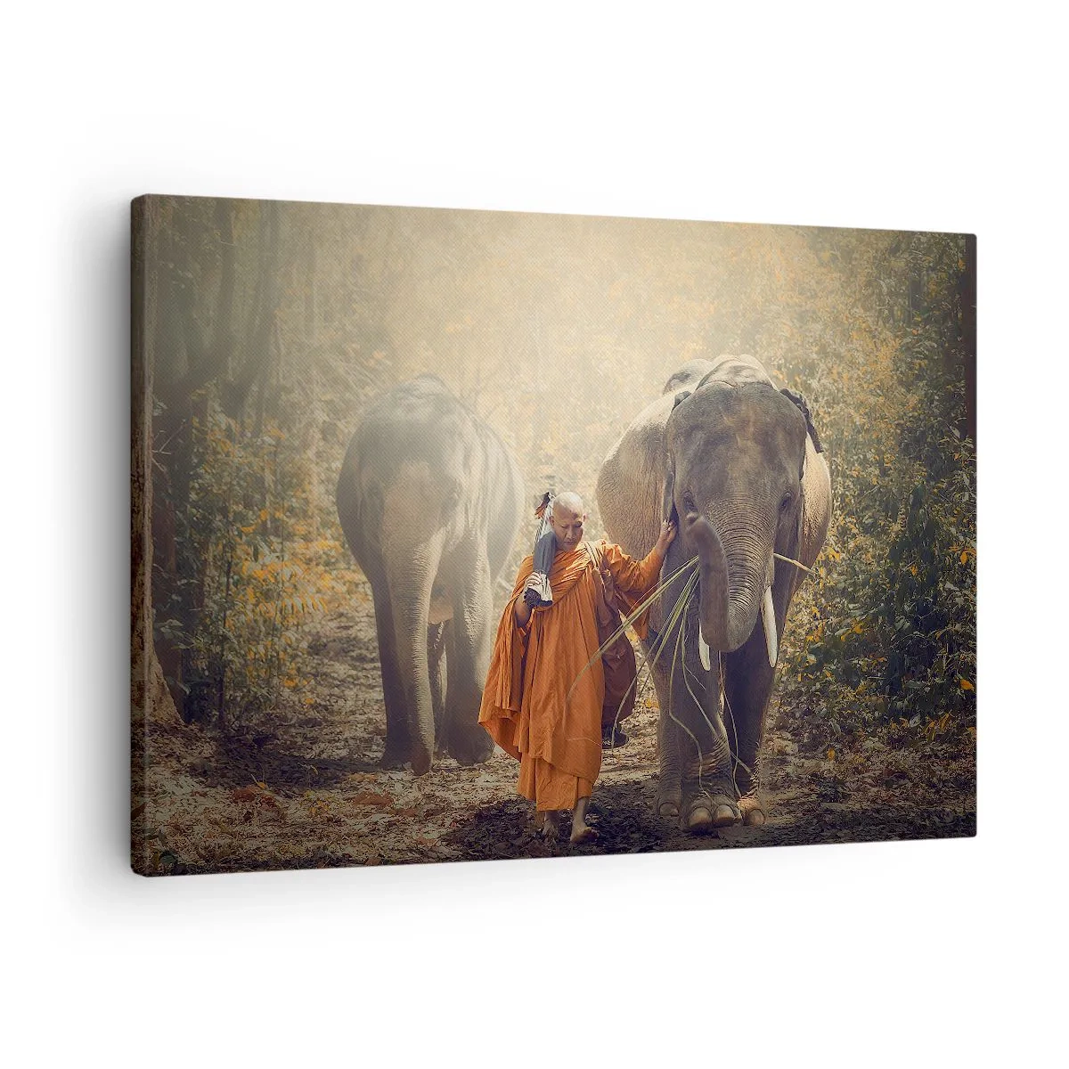 Obraz na plátně - Mnich v oranžovém rouchu vede slona v lese. - 70x50cm - Plné pochopení - Moderní nástěnná dekorace do obývacího pokoje a ložnice ARTTOR