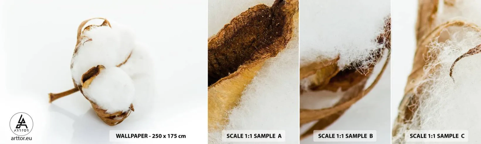 Vzor Fototapety Samolepicí Deluxe Sticker - Měkká od přírody - Bavlna, Minimalistický, Květ - 100x30 cm