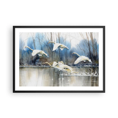 Plakát v černém rámu - Jako v povídce o divokých labutích - 70x50 cm