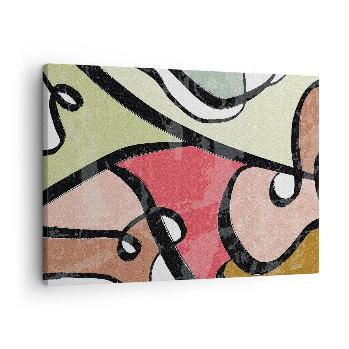 Obraz na plátně - Piruety uprostřed barev - 70x50 cm