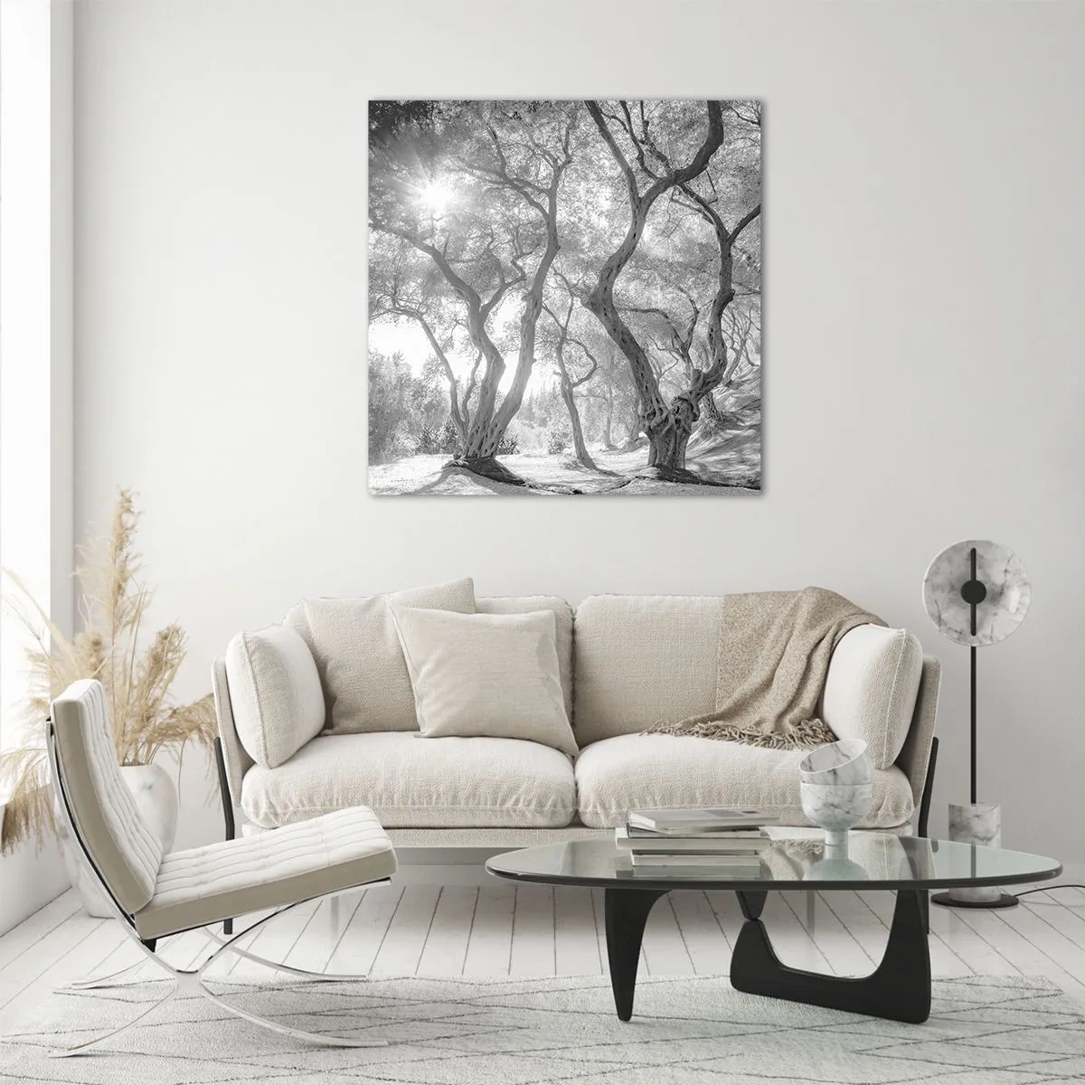 Obraz na skle - V olivovém háji - 70x70 cm