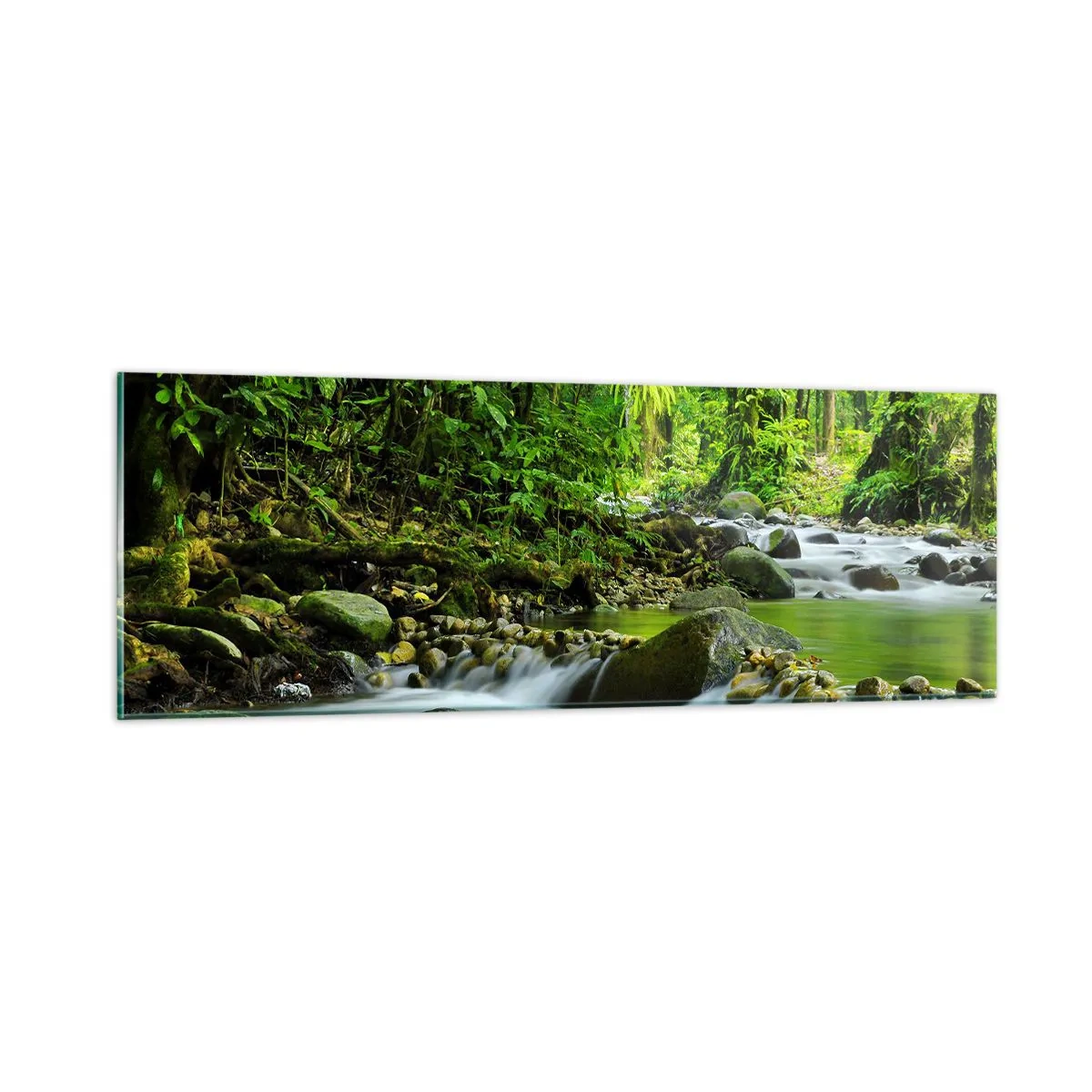 Obraz na skle - Plout mořem zeleně - 90x30 cm