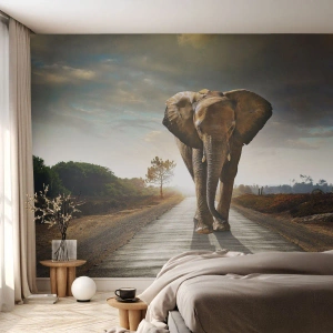 Fototapeta Premium Sand - A vůbec ne ve skladu porcelánu - Slon, Krajina, Příroda - 250x175 cm