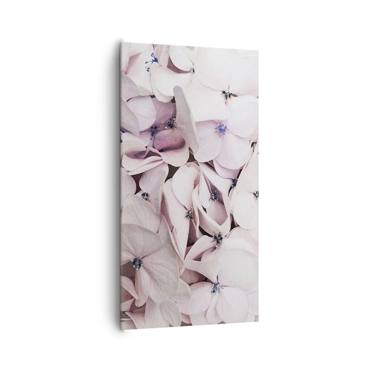 Obraz na plátně - V záplavě květin - 65x120 cm