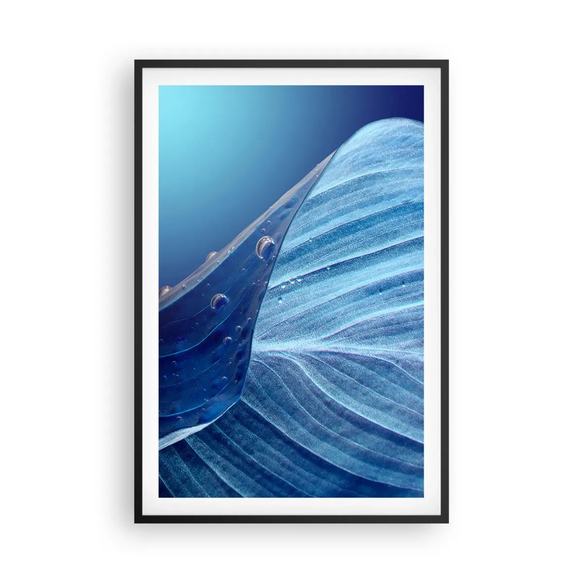 Plakát v černém rámu - Skryté kapky modři - 61x91 cm