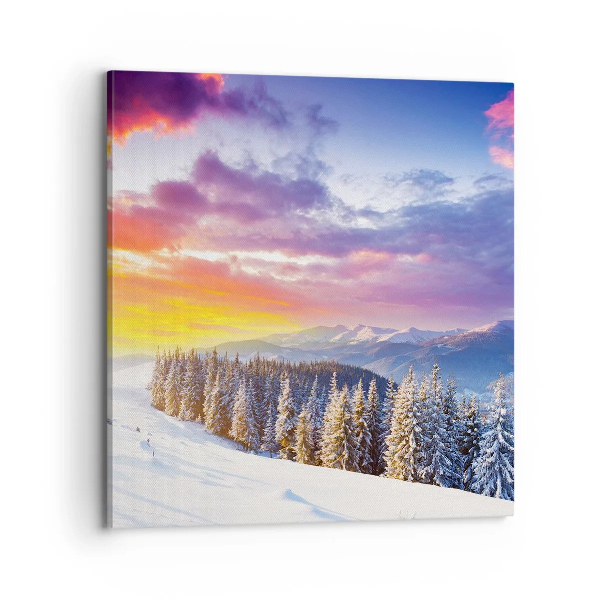 Obraz na plátně - Za bílého dne - 70x70 cm