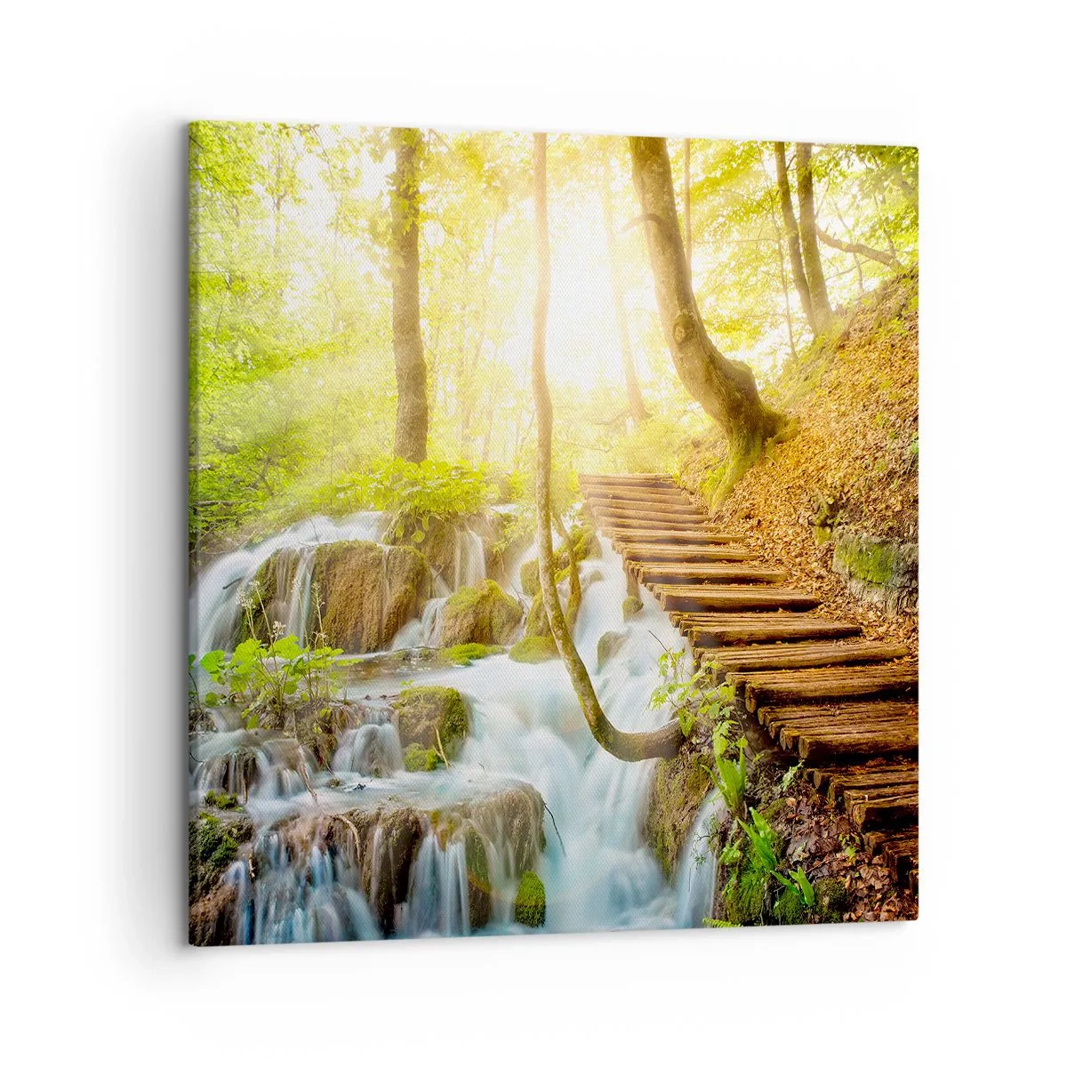 Obraz na plátně - Vytoužený chlad - 50x50 cm