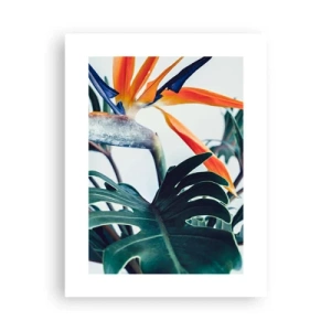 Plakát - Ptákeř - 30x40 cm