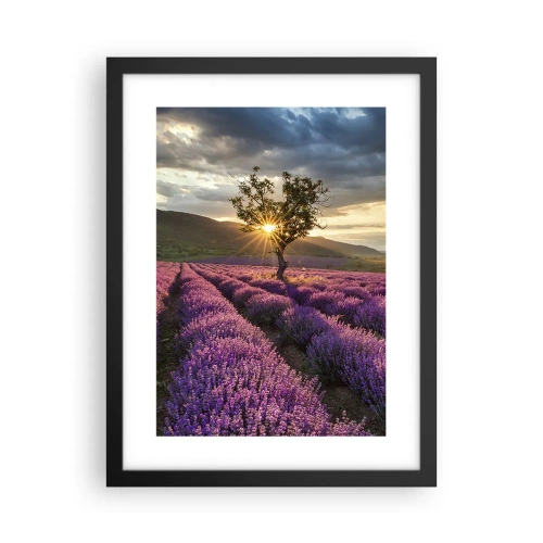 Plakát v černém rámu - Aroma v barvě lila - 30x40 cm