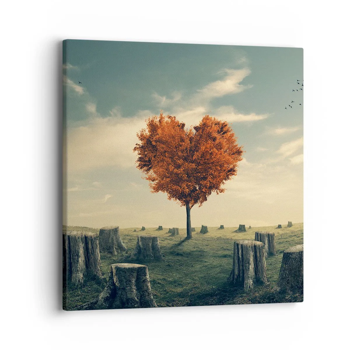 Obraz na plátně - Pořád je ještě naděje - 40x40 cm