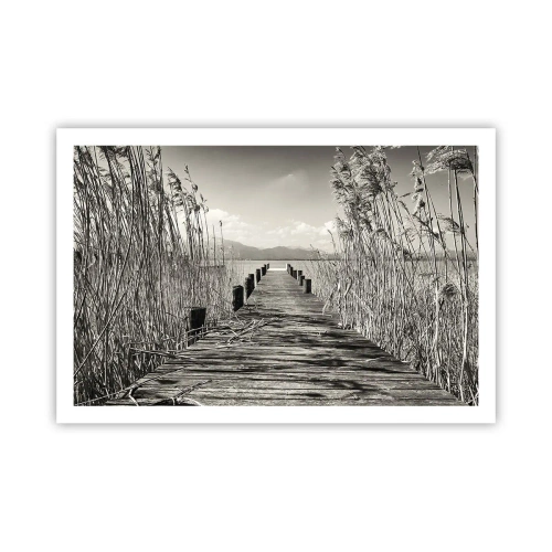 Plakát - V ústraní travin - 91x61 cm