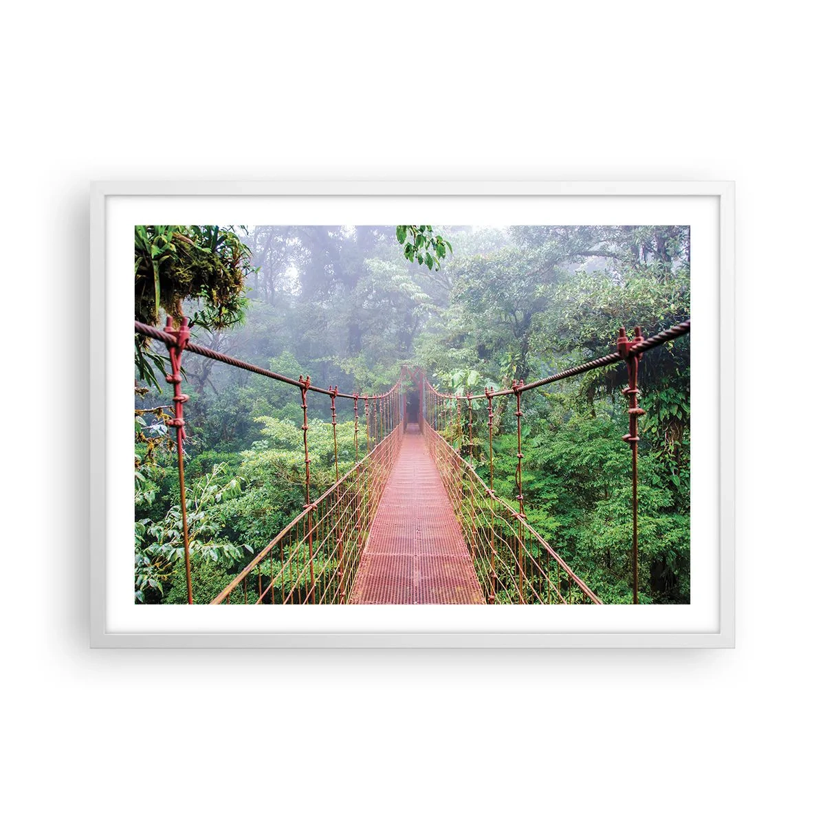 Plakát v bílém rámu - Zavěšený nad korunami - 70x50 cm