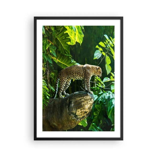 Plakát v černém rámu - Leopard stojící na skále v tropickém lese - 50x70cm - Na lov? - Moderní nástěnná dekorace do obývacího pokoje a ložnice ARTTOR