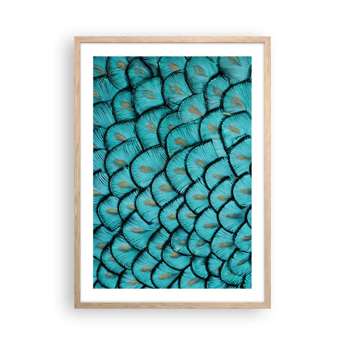 Plakát v rámu světlý dub - Velká slavnost peří - 50x70 cm