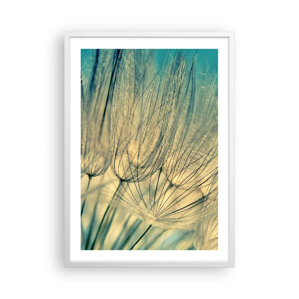 Plakát v bílém rámu - Čekání na vítr - 50x70 cm