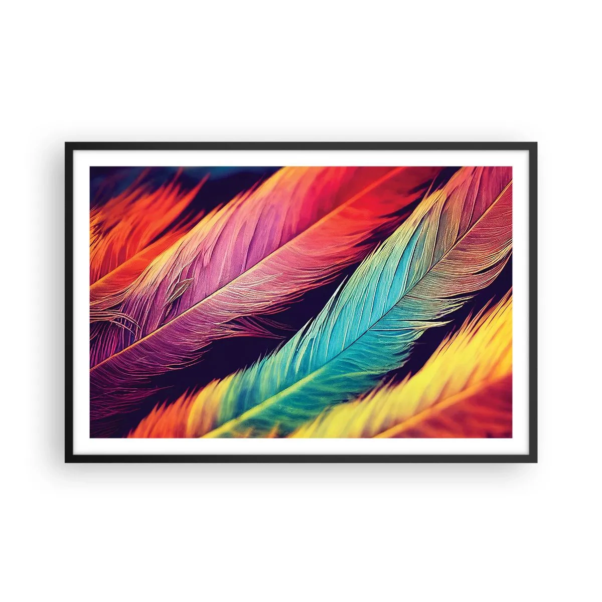 Plakát v černém rámu - Opeřená duha - 91x61 cm